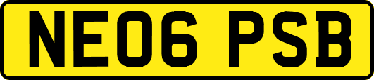 NE06PSB
