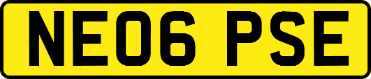 NE06PSE