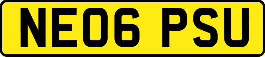 NE06PSU