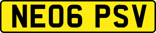 NE06PSV