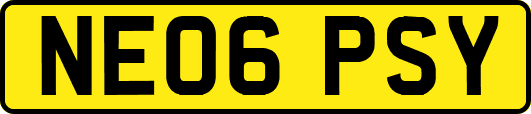 NE06PSY