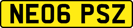 NE06PSZ