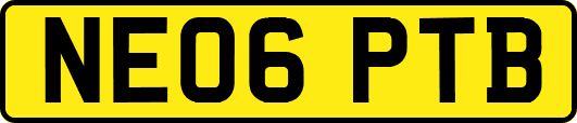 NE06PTB