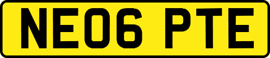 NE06PTE