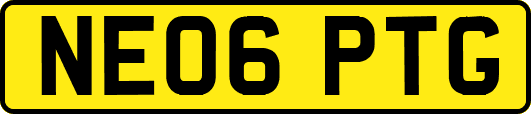 NE06PTG