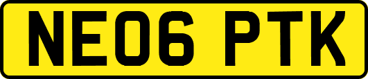 NE06PTK