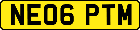NE06PTM