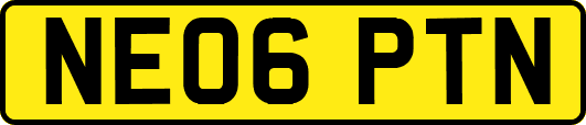 NE06PTN