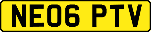 NE06PTV