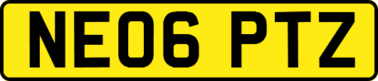 NE06PTZ