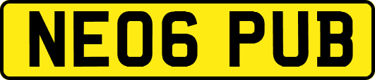 NE06PUB