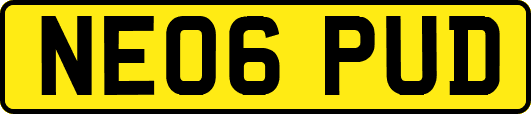 NE06PUD