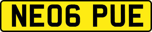 NE06PUE