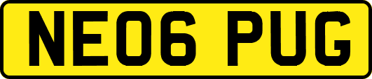 NE06PUG