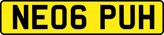 NE06PUH