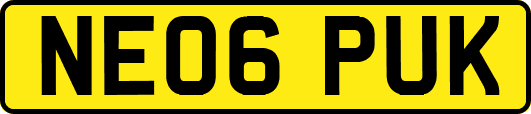 NE06PUK