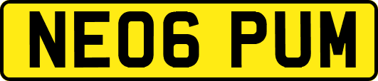 NE06PUM
