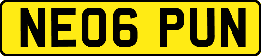 NE06PUN