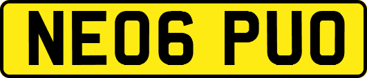NE06PUO