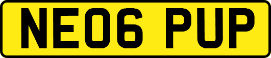 NE06PUP