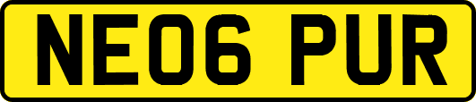 NE06PUR