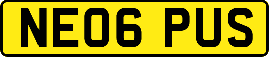 NE06PUS