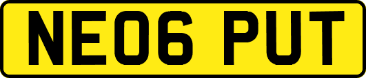 NE06PUT