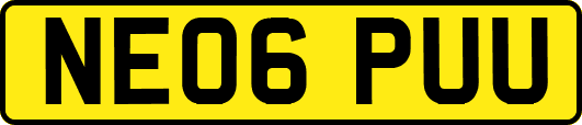 NE06PUU