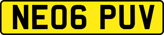 NE06PUV