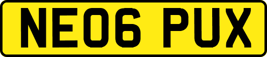 NE06PUX
