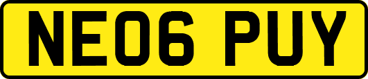 NE06PUY