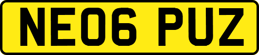 NE06PUZ