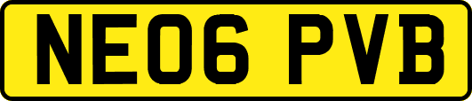 NE06PVB