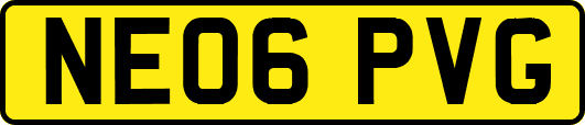 NE06PVG