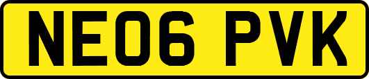NE06PVK