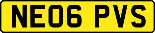 NE06PVS