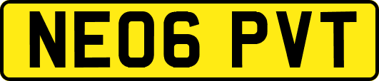 NE06PVT