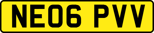 NE06PVV
