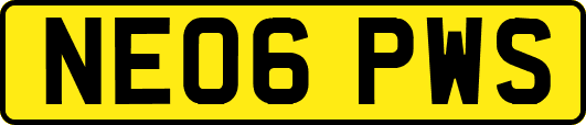 NE06PWS