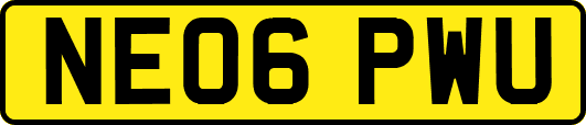 NE06PWU