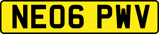 NE06PWV