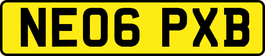 NE06PXB