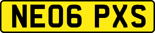 NE06PXS