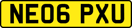 NE06PXU
