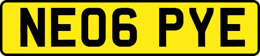 NE06PYE