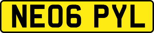 NE06PYL