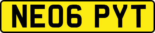 NE06PYT