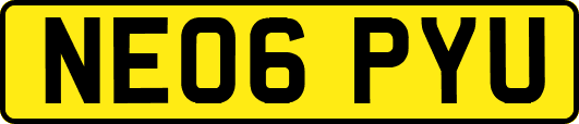 NE06PYU