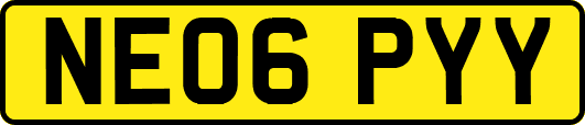 NE06PYY