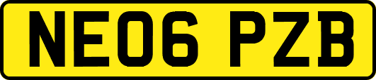 NE06PZB